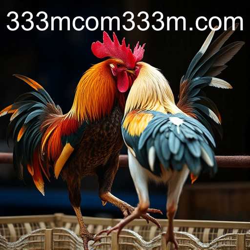 Exploring the World of Online Sabong and the Influence of 333m com